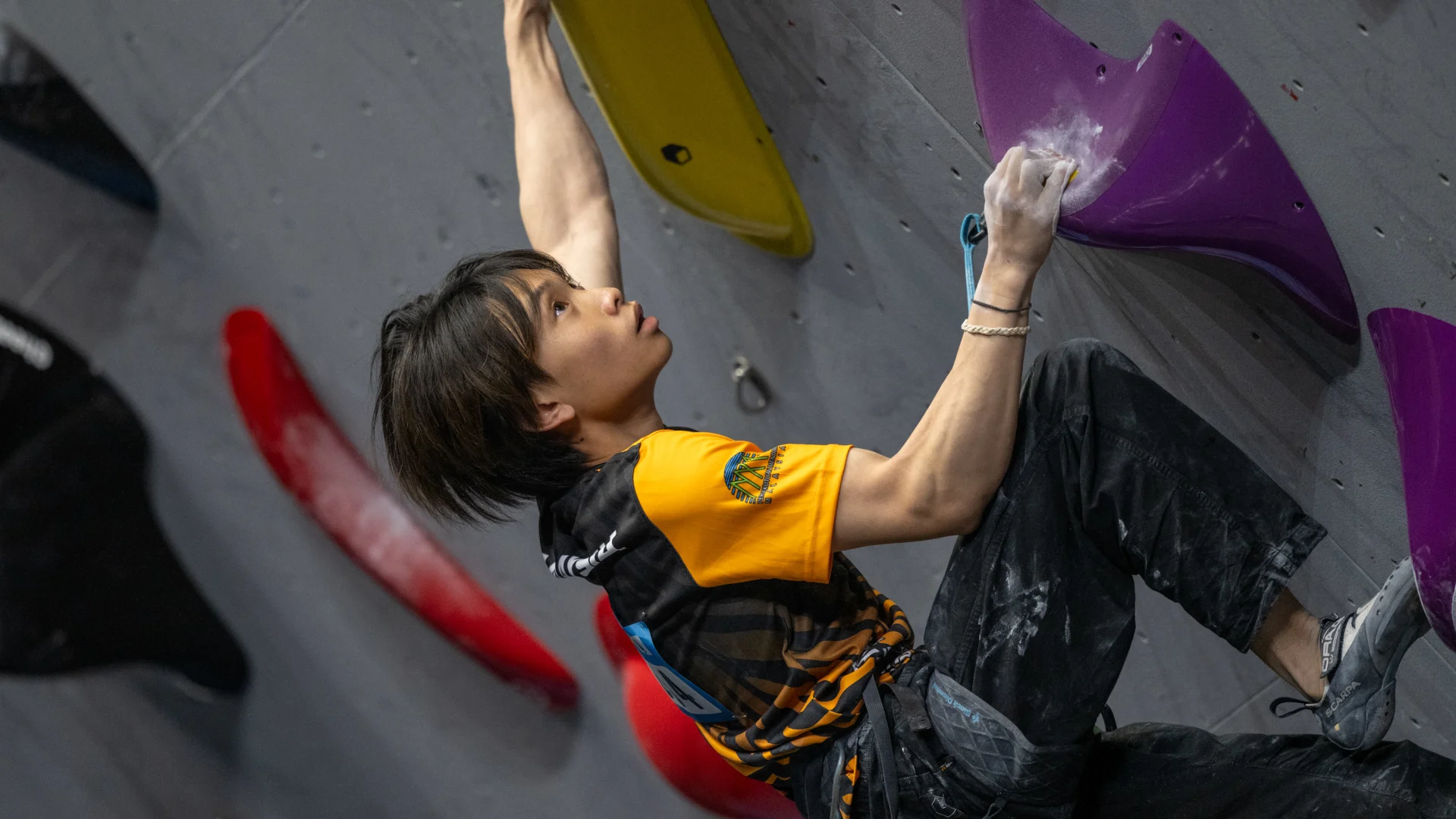 Ifsc World Cup Wujiang 2024 Date Nani Tamara